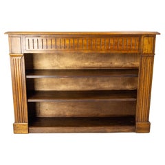 Bookcase in a False Poplar Fireplace, French, circa 1900