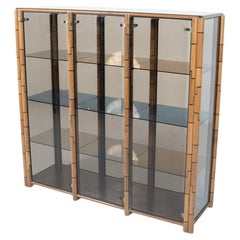 Bookcase/ Vitrine by Tobia and Afra Scarpa for Maxalto, 1970s