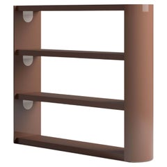 Bookcase With Lacquered Structure 