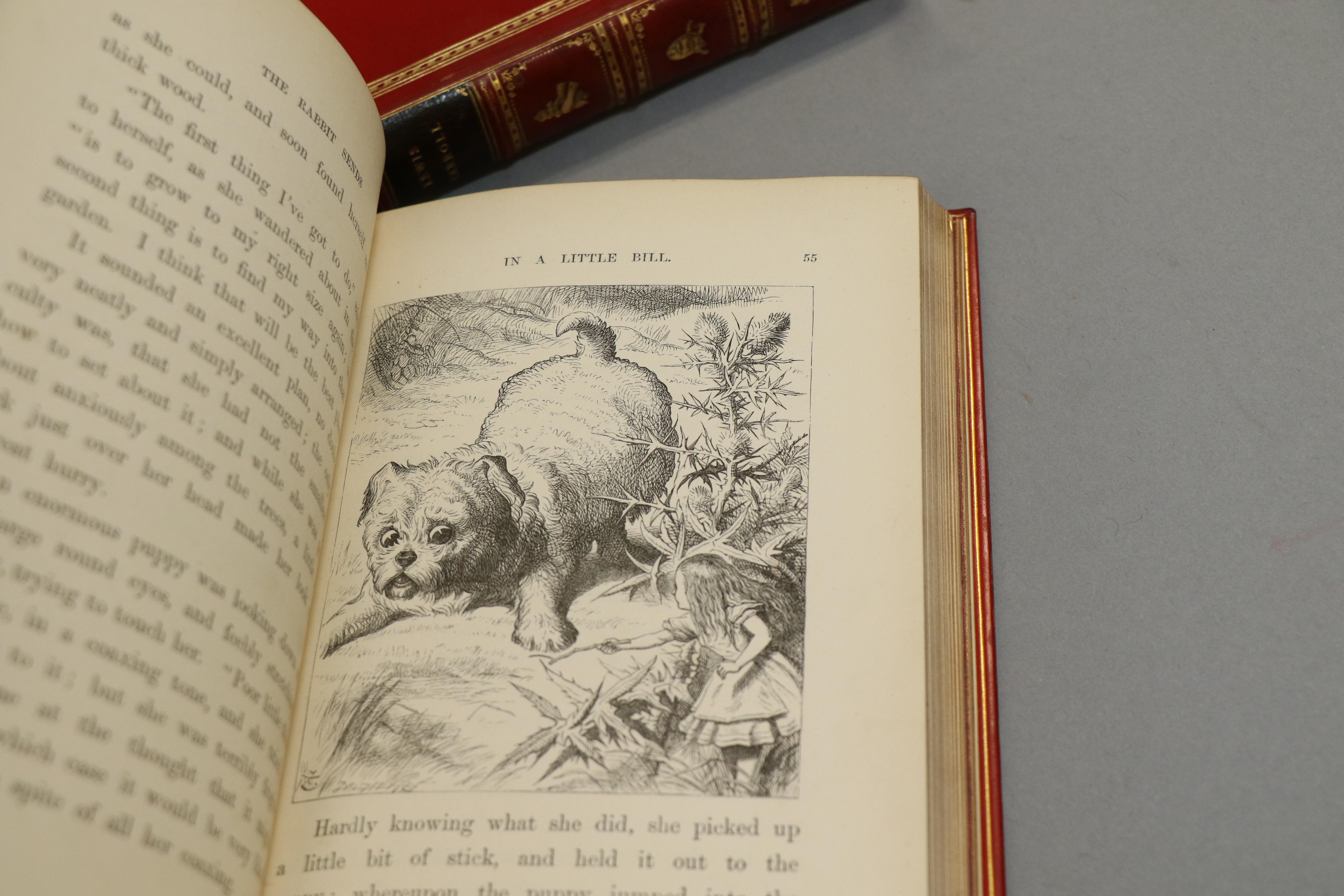 Dyed Books, Lewis Carroll's 'Alice in Wonderland' & 'Through the Looking Glass'