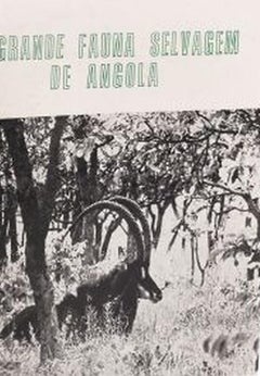 Books - Silva; S. Newton da - The Great Wild Fauna of Angola