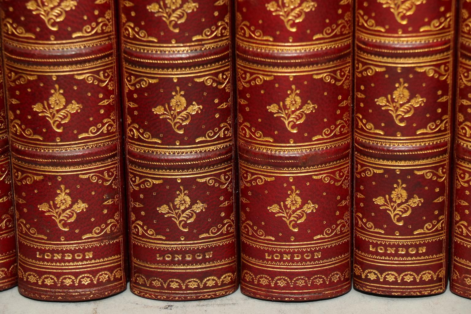 Dyed Books, The Complete Works of Charles Dickens Library Edition