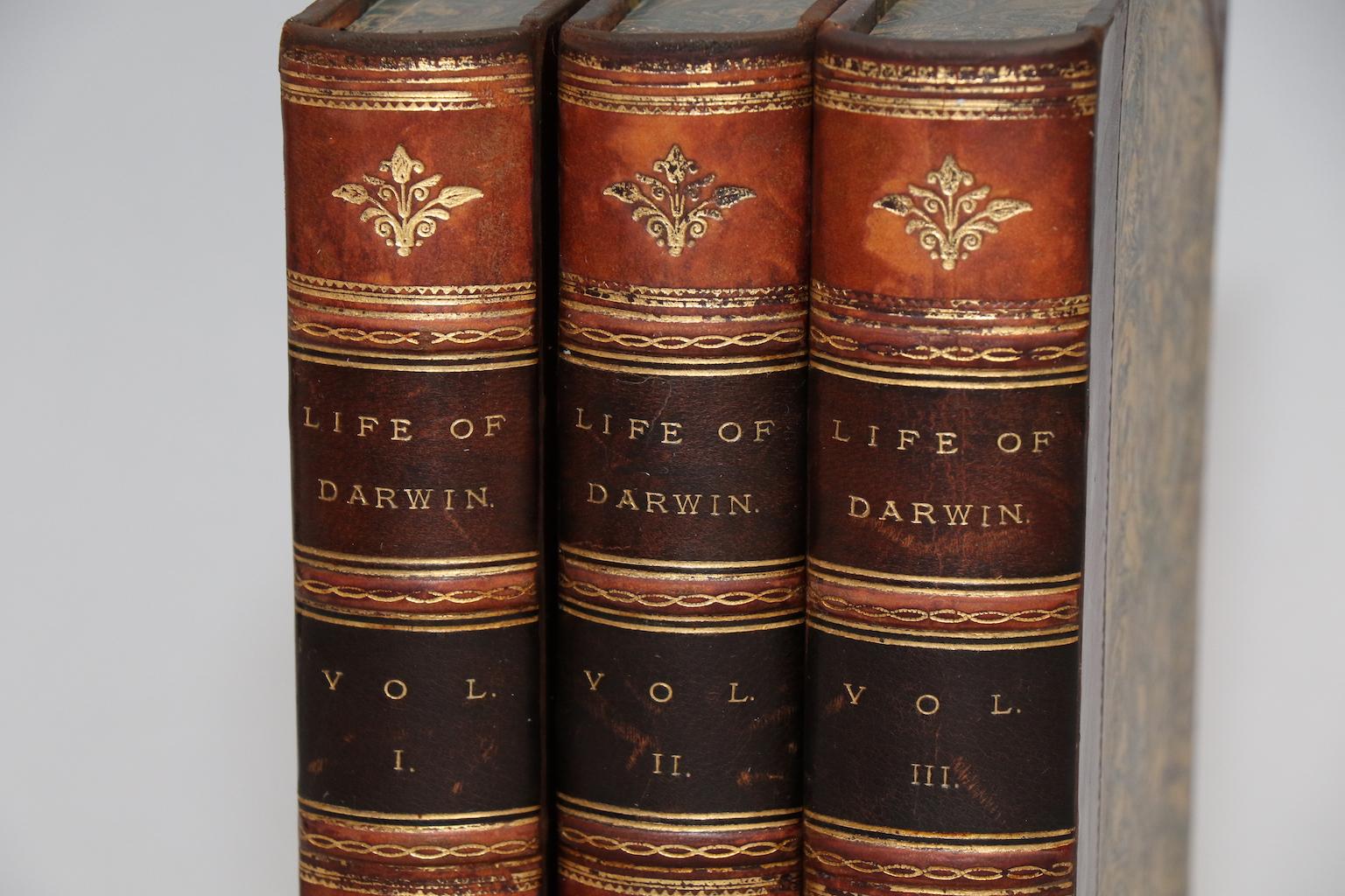 Leather bound. Three volumes. Octavo. Bound in three quarter tan calf with marbled boards, marbled edges, and raised bands. Edited by his son Francis Darwin. Very good. Published in London by John Murray in 1887.



  