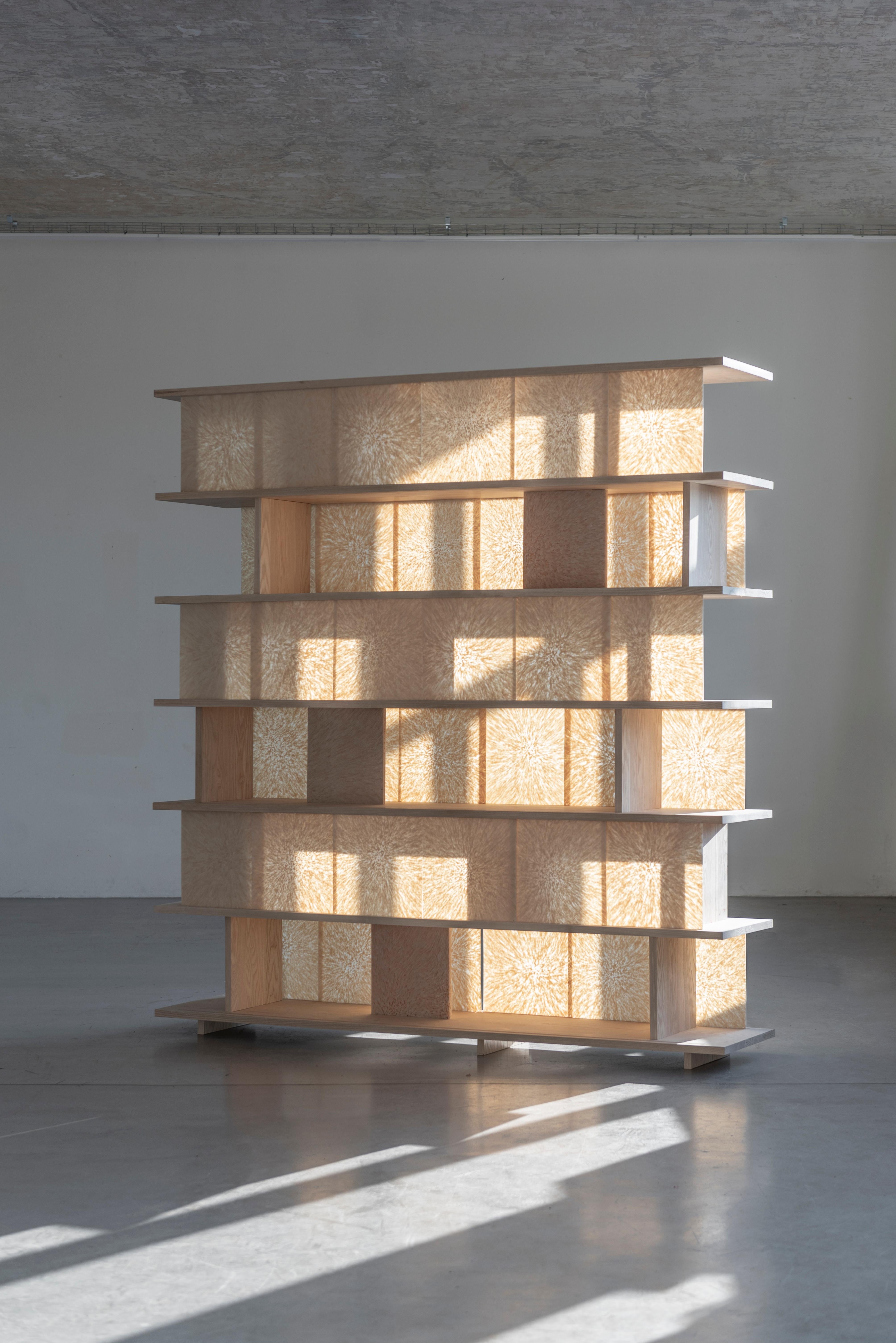 Bookshelf by Vlasta Kubusova
Materials: Wood, Nuatan bioplastic sheets
Dimensions: W 201 x H 201.5 x D 45 cm

Crafting plastics! studio was founded in 2016 by product designer Vlasta Kubušová and production designer Miroslav Král. The studio is
