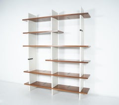 Bookshelf model 'Domino' by Eugenio Gerli for Tecno Milano, 1966