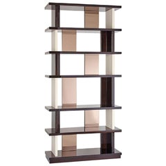 Bookshelf Polished Ebony Finish Back and Side Insert Leather and Bronzed Mirror