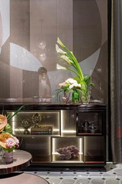 Struttura dello scaffale Wood Wood impiallacciato in ebano con Vetrite e striscia LED