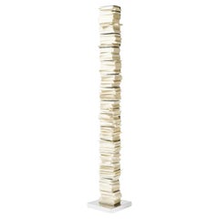 Bookshelf with lamp Opinion Ciatti Ptolomeo Luce 215 Design Bruno Rainaldi Inox
