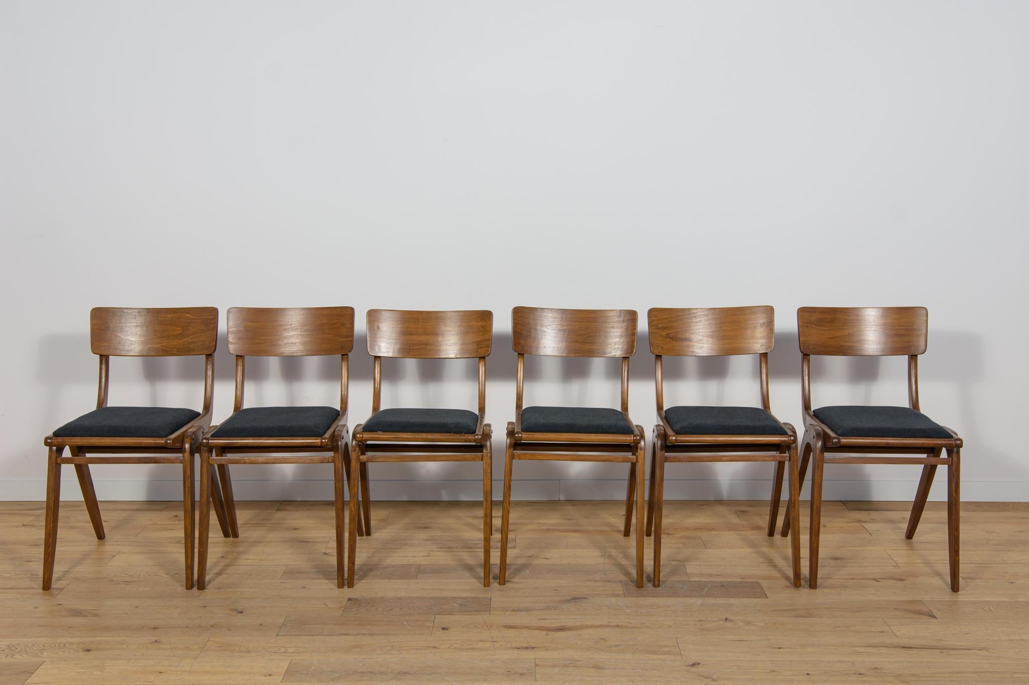 Ensemble de 6 chaises de salle à manger polonaises modèle Boomerang 229XB de la fabrique de meubles Gościcińskie dans les années 1960. Le châssis des chaises est en bois de hêtre. Éléments en bois nettoyés de l'ancienne surface, peints avec une