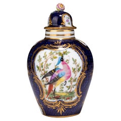 Antique Booths Asiatic Pheasant Cobalt English Porcelain Lidded Vase 19th Century 