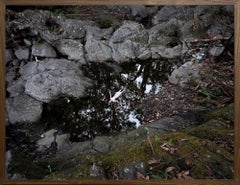 Fiume Ahu Lani - 0415.1844