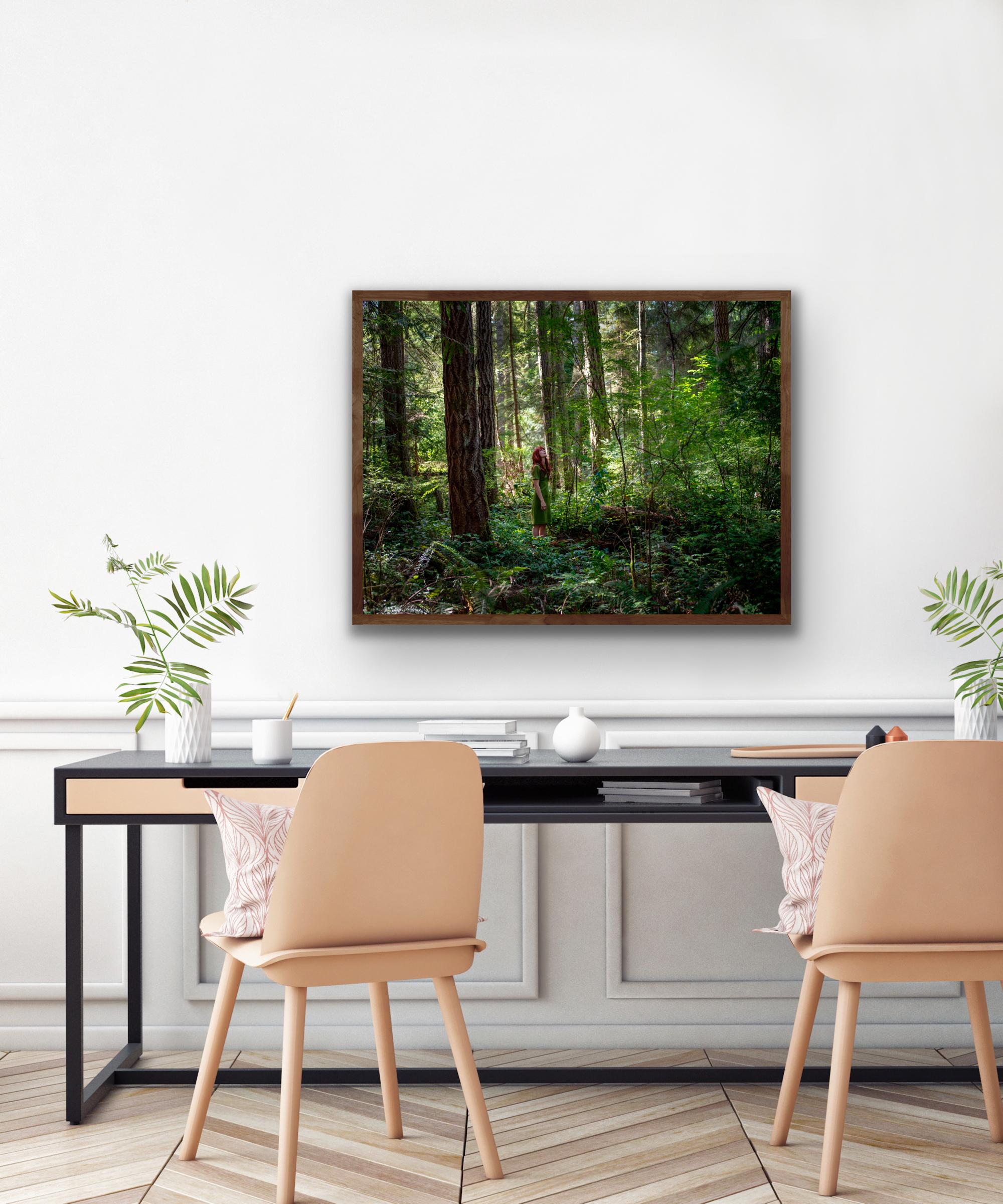 OlympicForest - 0812.1118.2019 - Photograph di Bootsy Holler