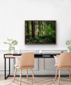 OlympicForest - 0812.1118.2019