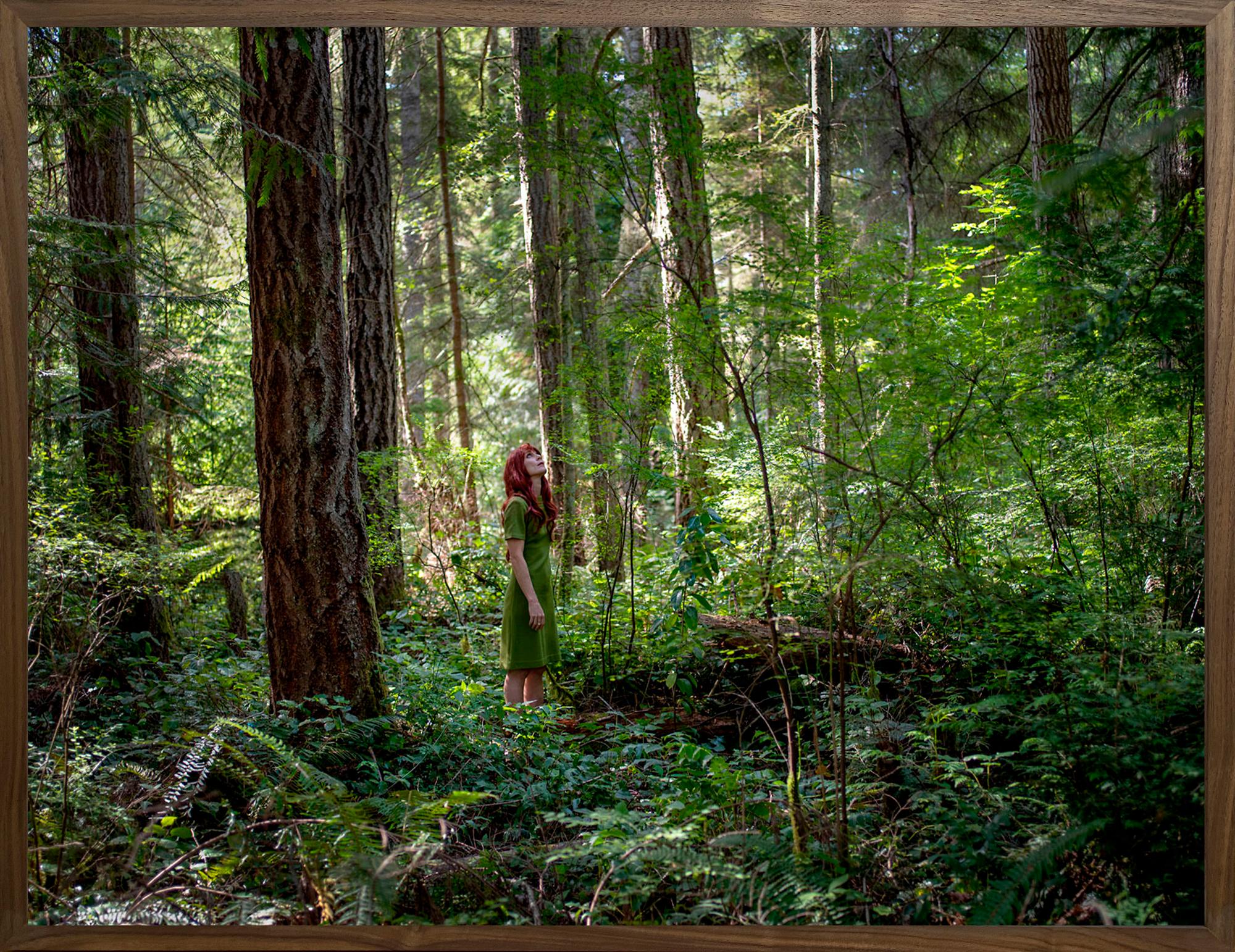 OlympicForest - 0812.1118.2019 - Photograph Contemporaneo di Bootsy Holler