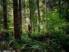 Forêt Olympique - 0812.1118.2019