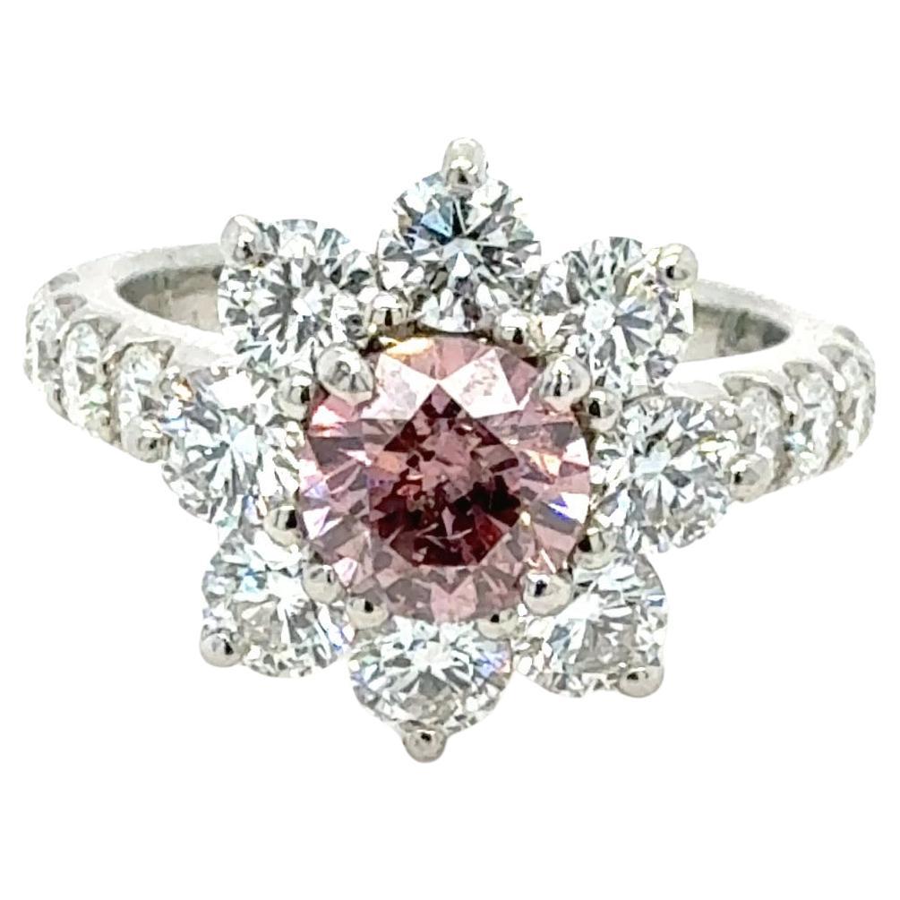 Bora
Co GIA zertifiziert 0,83ct Intense Pink
Natural Diamond Ring