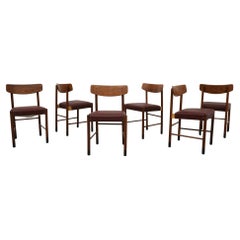 Sedie per la sala da pranzo