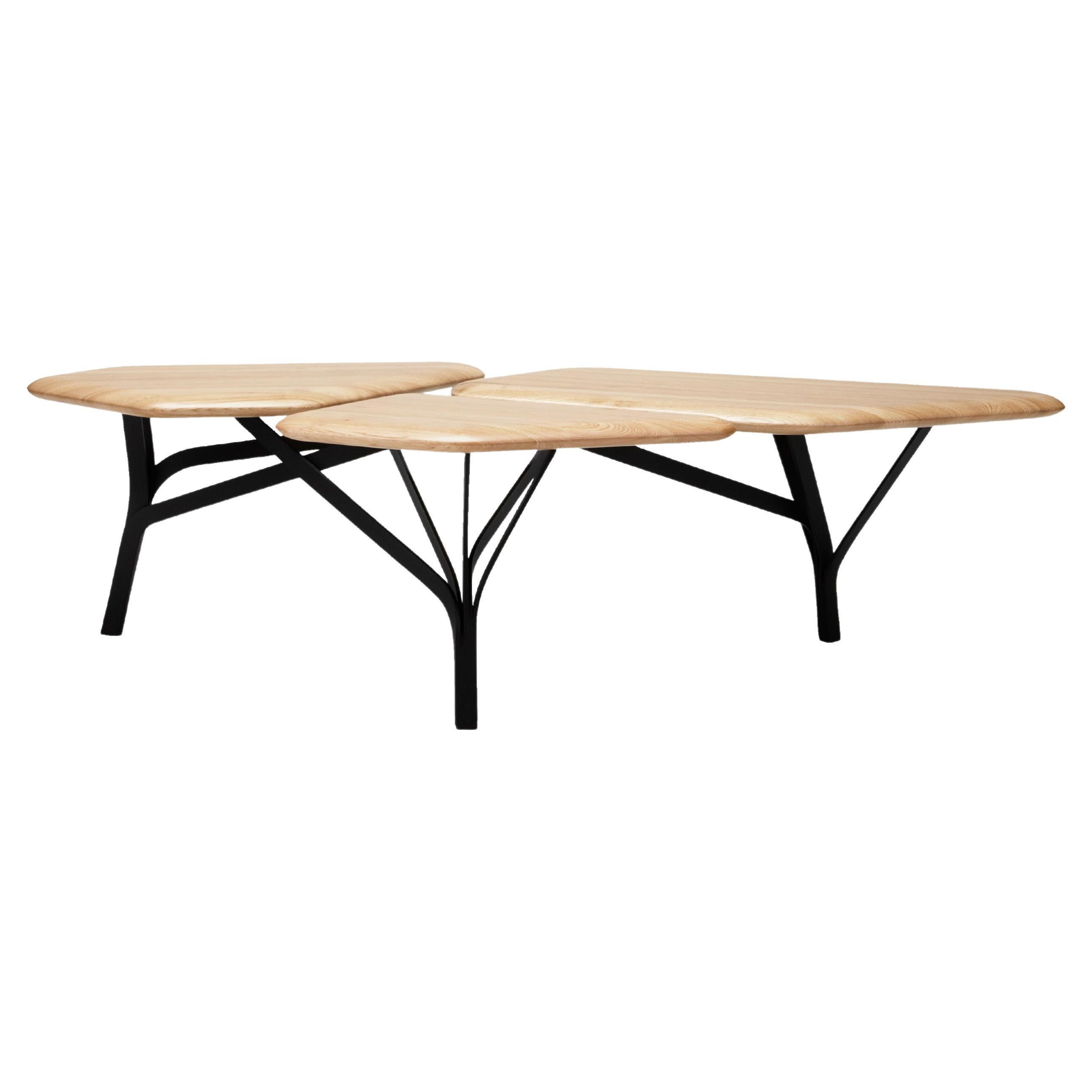 Borghese Coffee Table, Natural Wood Top by Noé Duchaufour Lawrance for La Chance For Sale