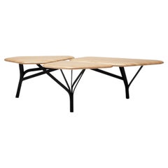 Borghese Coffee Table, Natural Wood Top by Noé Duchaufour Lawrance for La Chance
