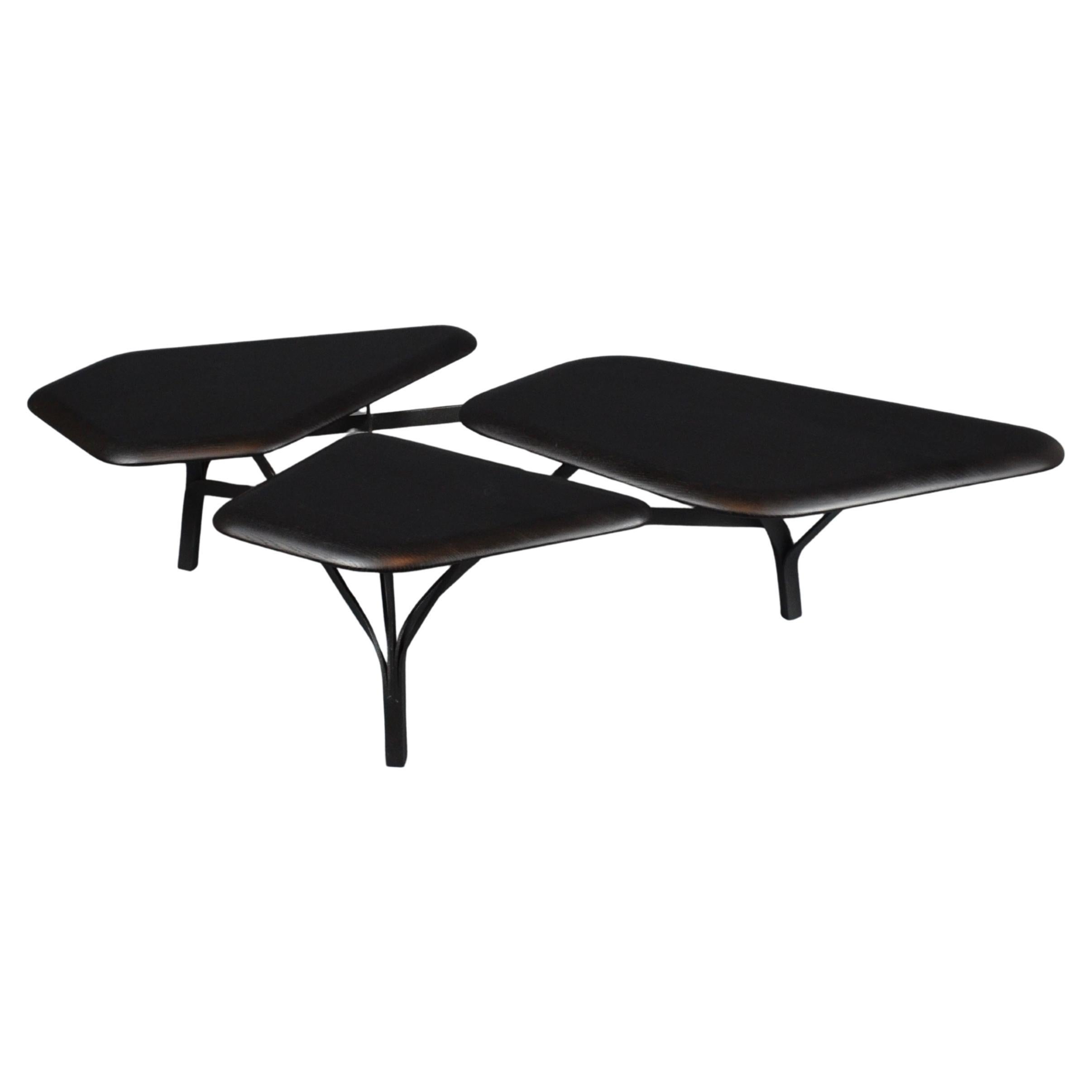 "Borghèse" Coffee Table, Noé Duchaufour-Lawrance For Sale
