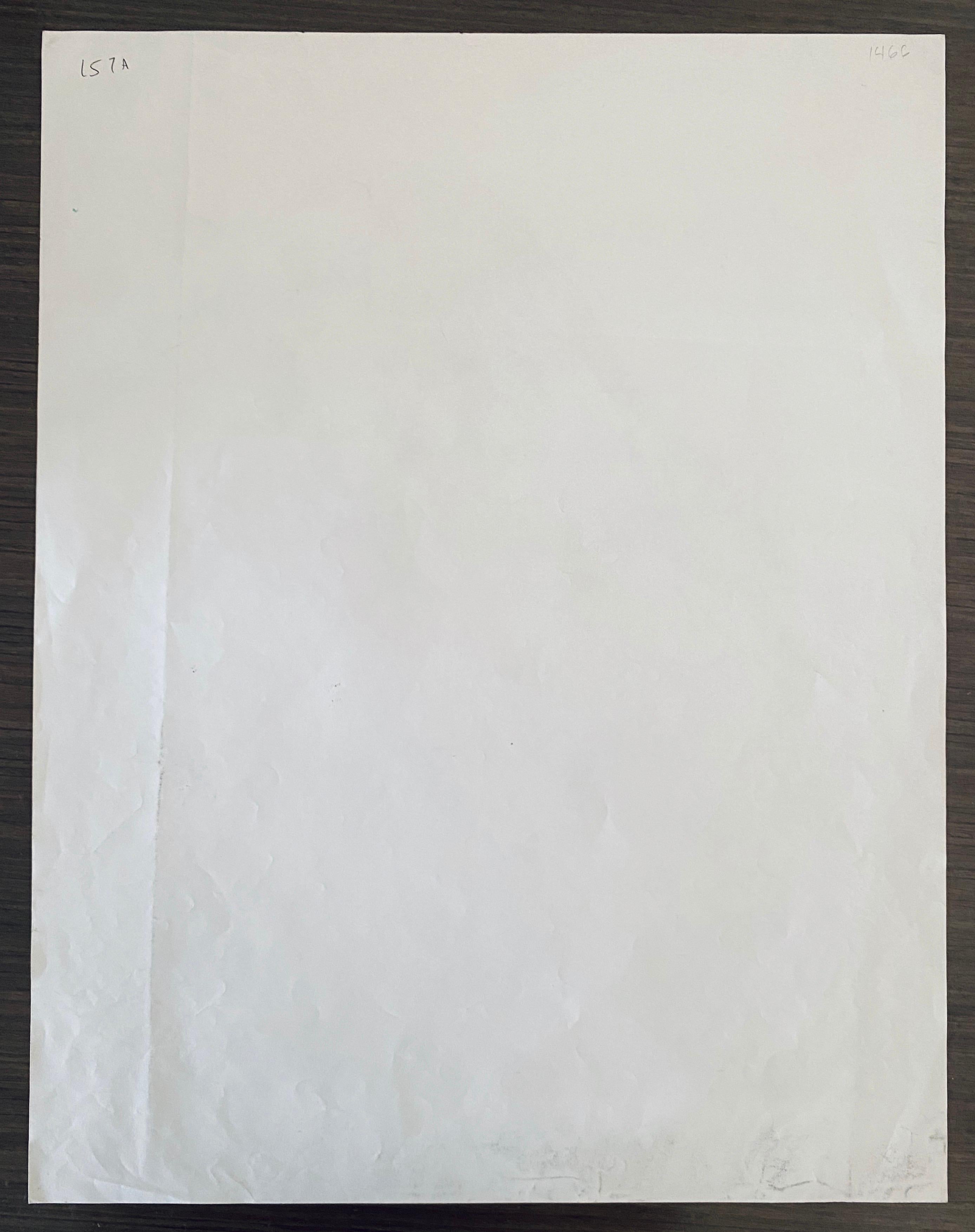 Litografía coloreada del artista lituano Madre e hijo - Boris Deutsch en venta 5