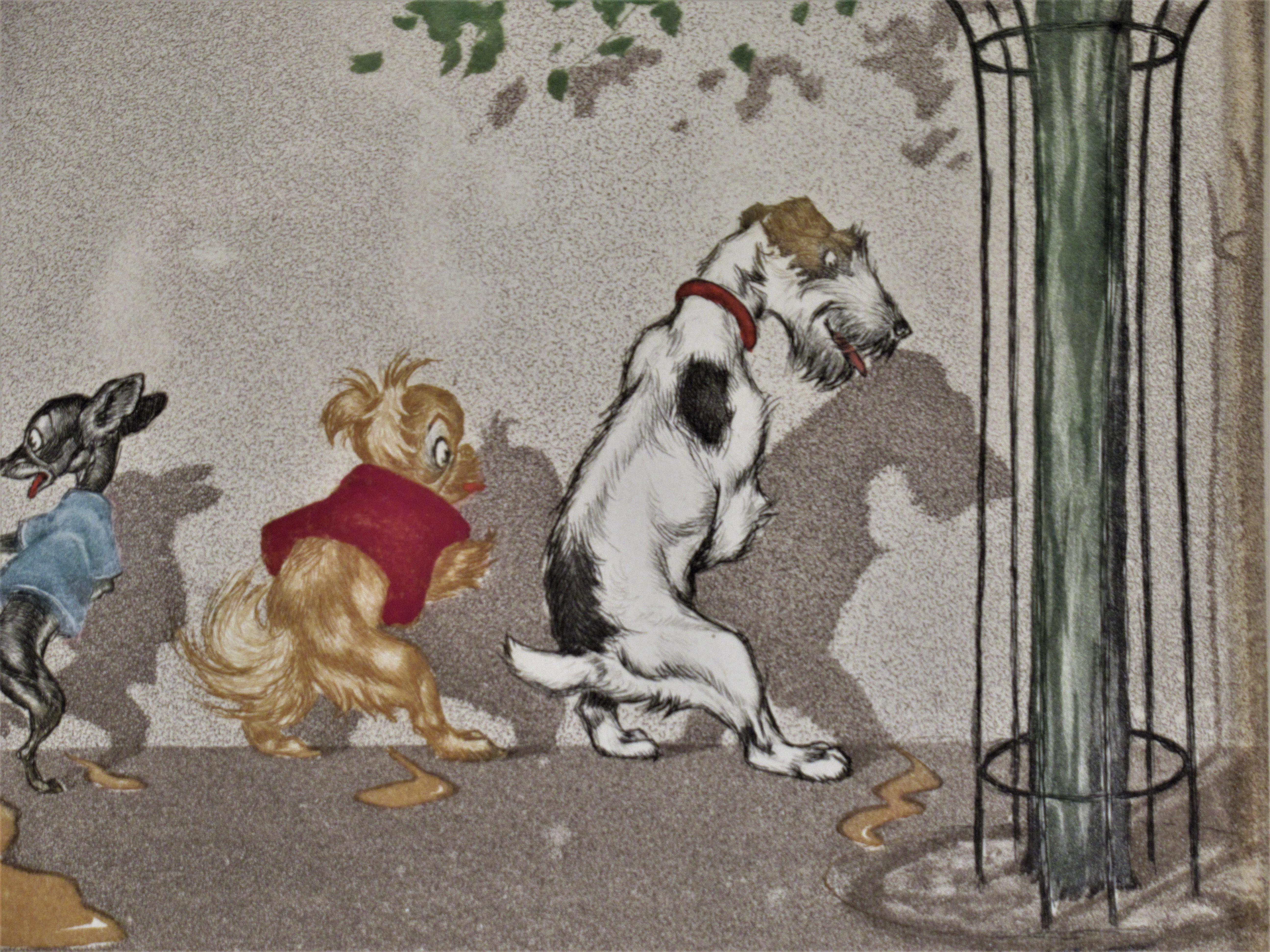 boris o'klein cats