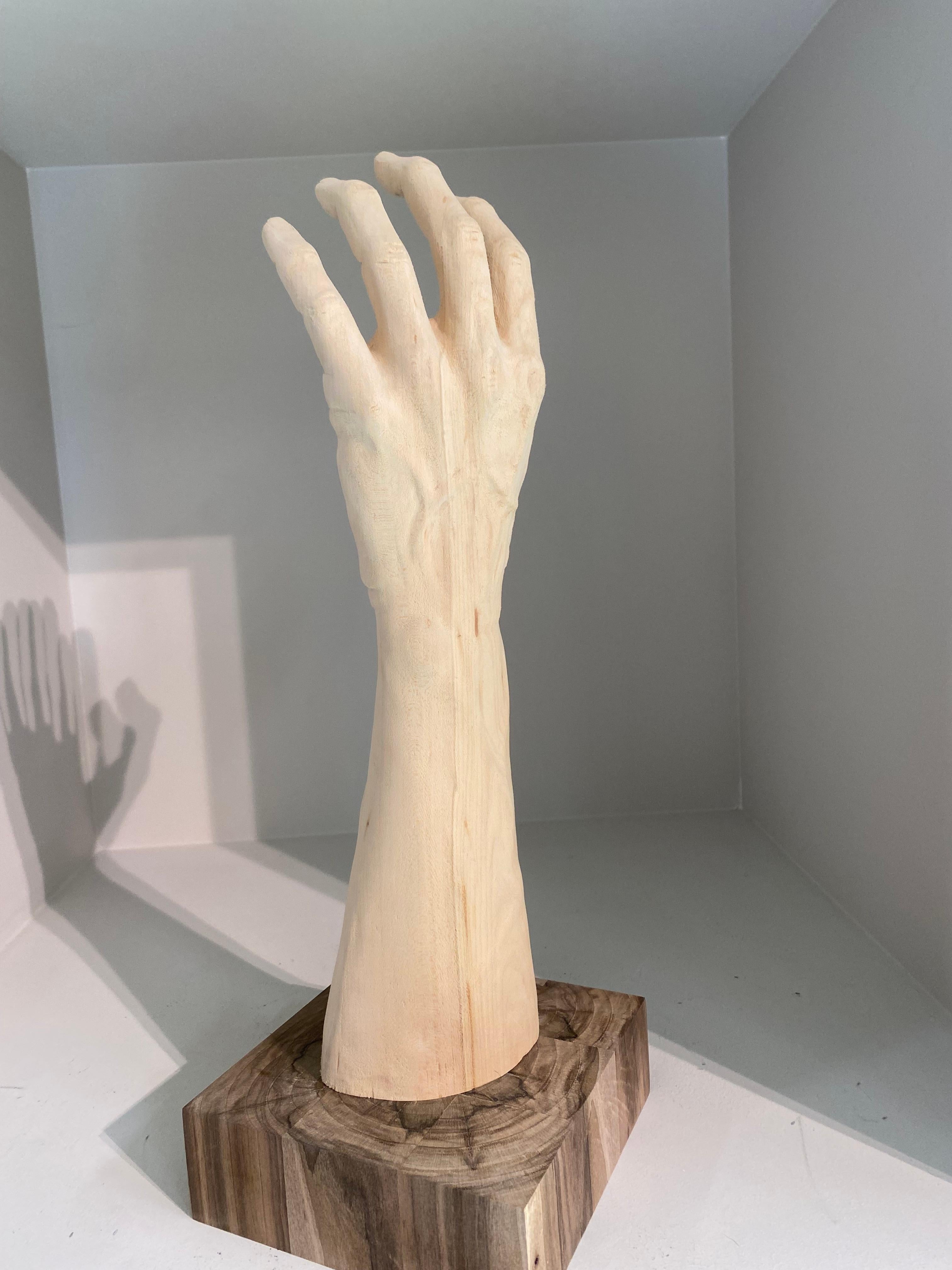 Hand - Zeitgenössische figurative Holzskulptur des 21. Jahrhunderts, eine Hand im Angebot 2
