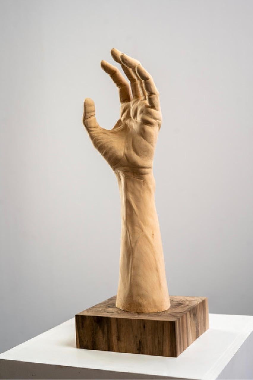 Mano - Scultura figurativa in legno del 21° secolo raffigurante una mano