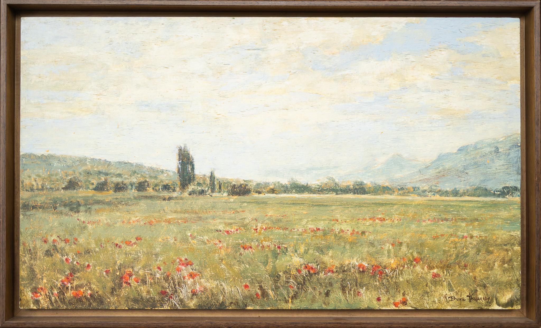 Aragona - Painting di Borja Fernandez