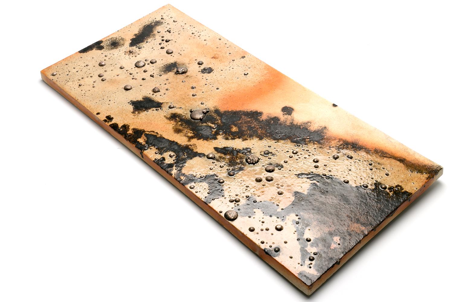 Scandinavian Modern Börje Skohg / WALL TILE / Gustavsberg / 1977 For Sale