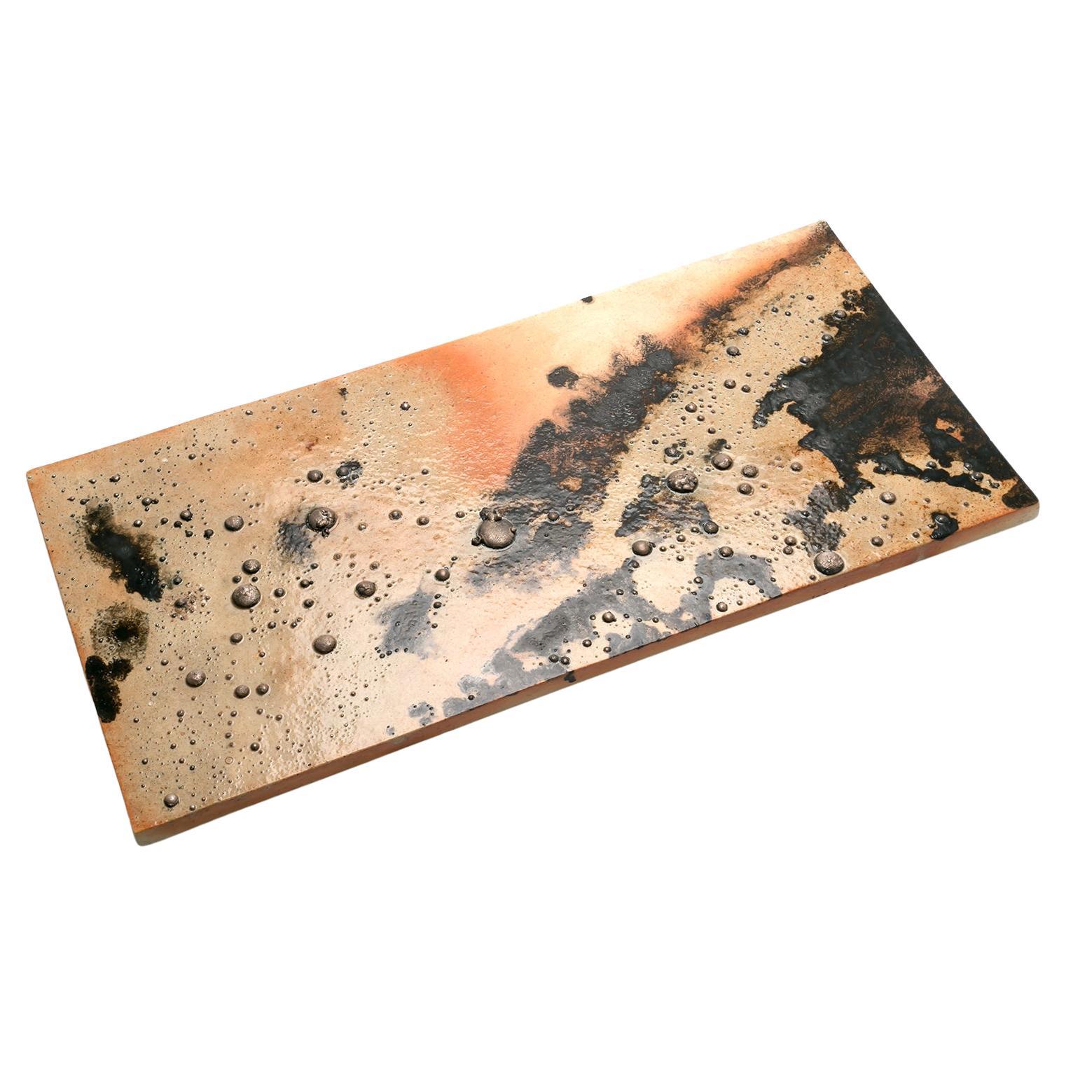 Börje Skohg / WALL TILE / Gustavsberg / 1977 For Sale