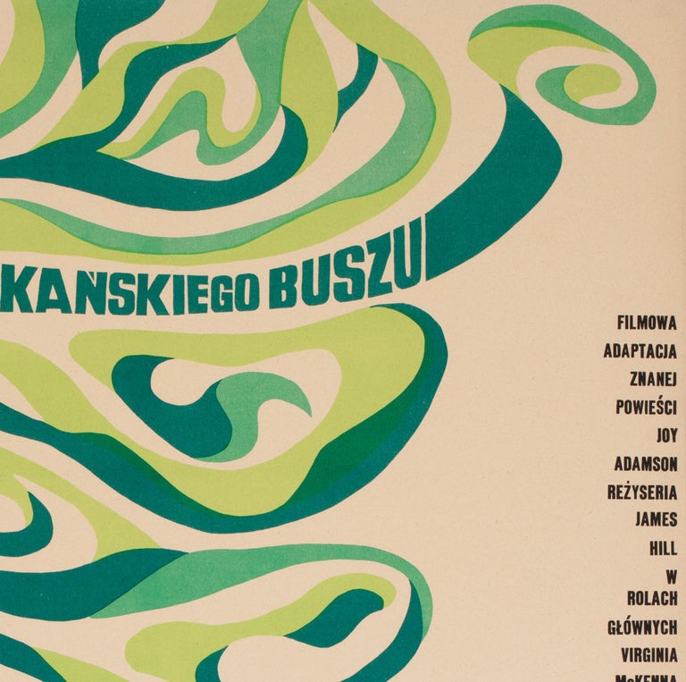 20th Century Born Free 1968 Polish A1 Film Movie Poster, Lipinski