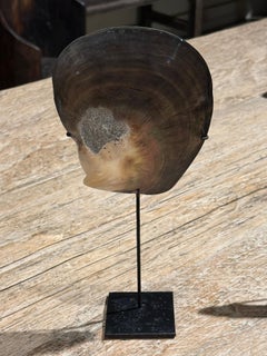 Borneo Pair Large Mussel Shells On Metal Stands, Indonesia, Contemporary