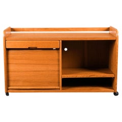 Vintage Bornholm Mobelfabrik Mid Century Mobile Teak Stereo Cabinet