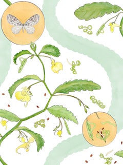 Borrowdale Balsam Wallpaper in Derwent Water (Small Scale) - Botanical, Nature.