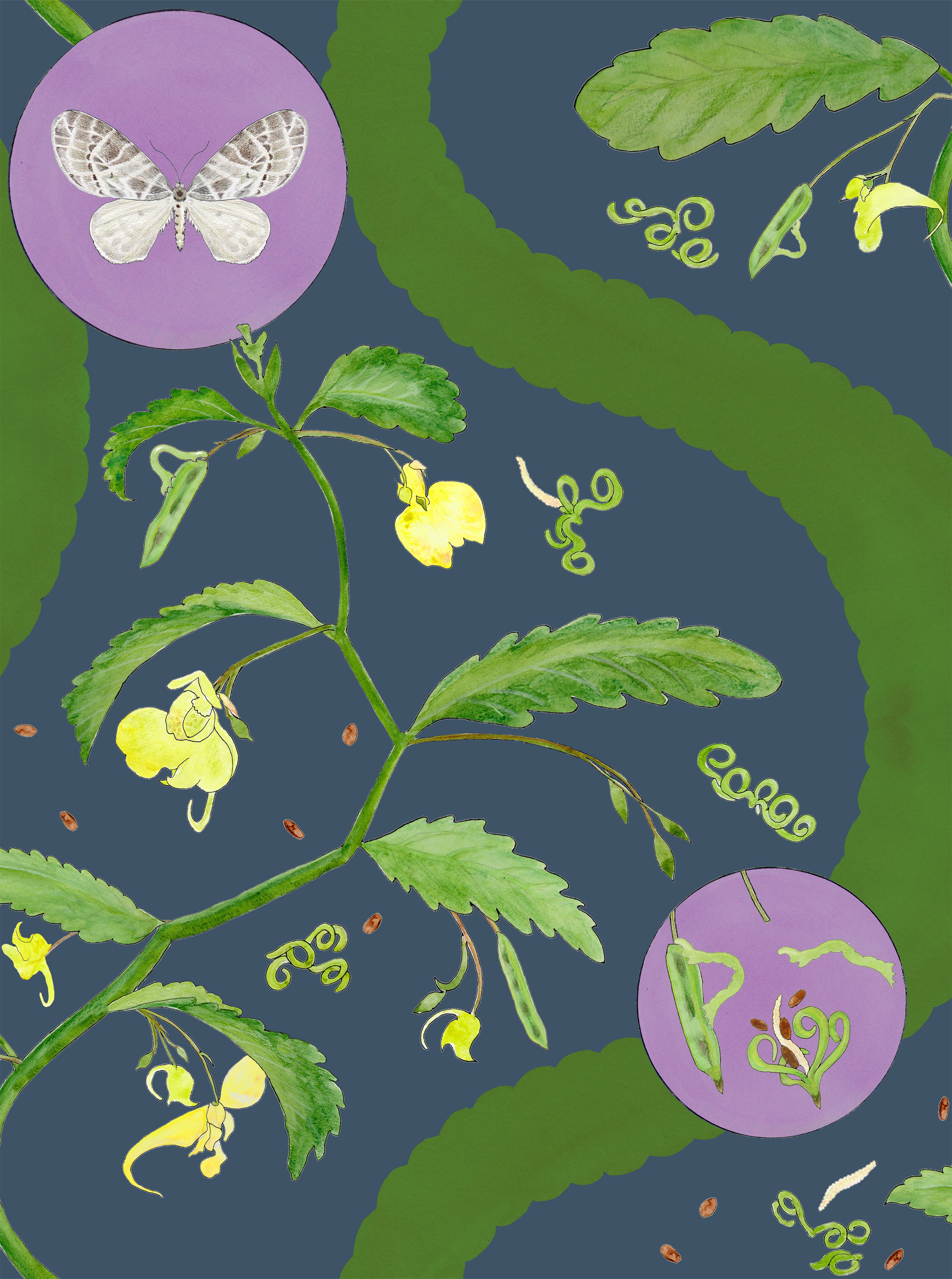 English Borrowdale Balsam Wallpaper in Heather Tarn (small scale) - Botanical, Nature. For Sale