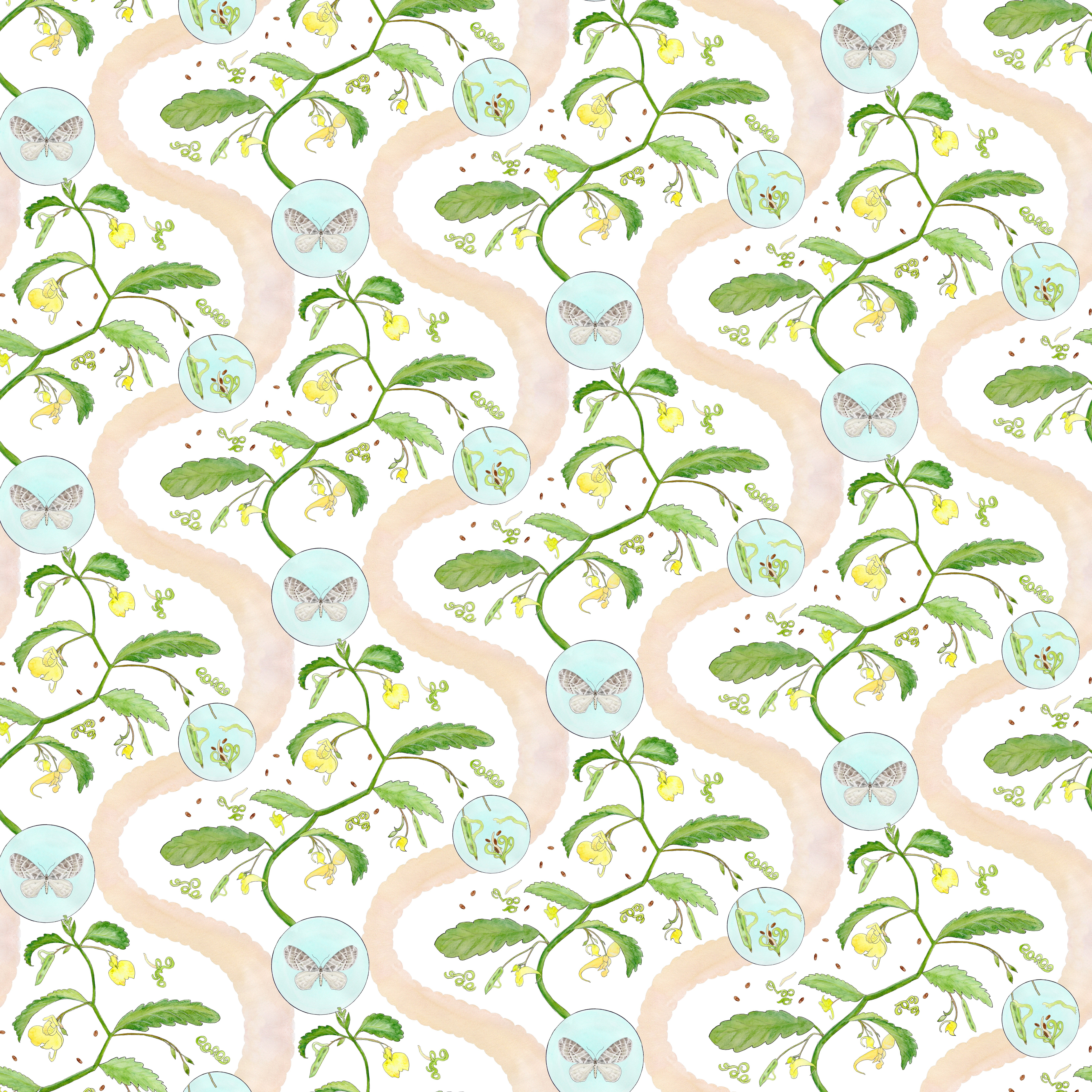 Collection: Borrowdale Balsam
Product Code: 56E
Roll dimensions: 70cm x 10m (27.6in x 10.9yards)
Area: 7sq.m (8.4 sq.yards)
Pattern repeat: 46.7cm (18.4in) Half Drop
Colourway: Thorneythwaite Blossom

Wallpaper: The designs are printed on Uncoated
