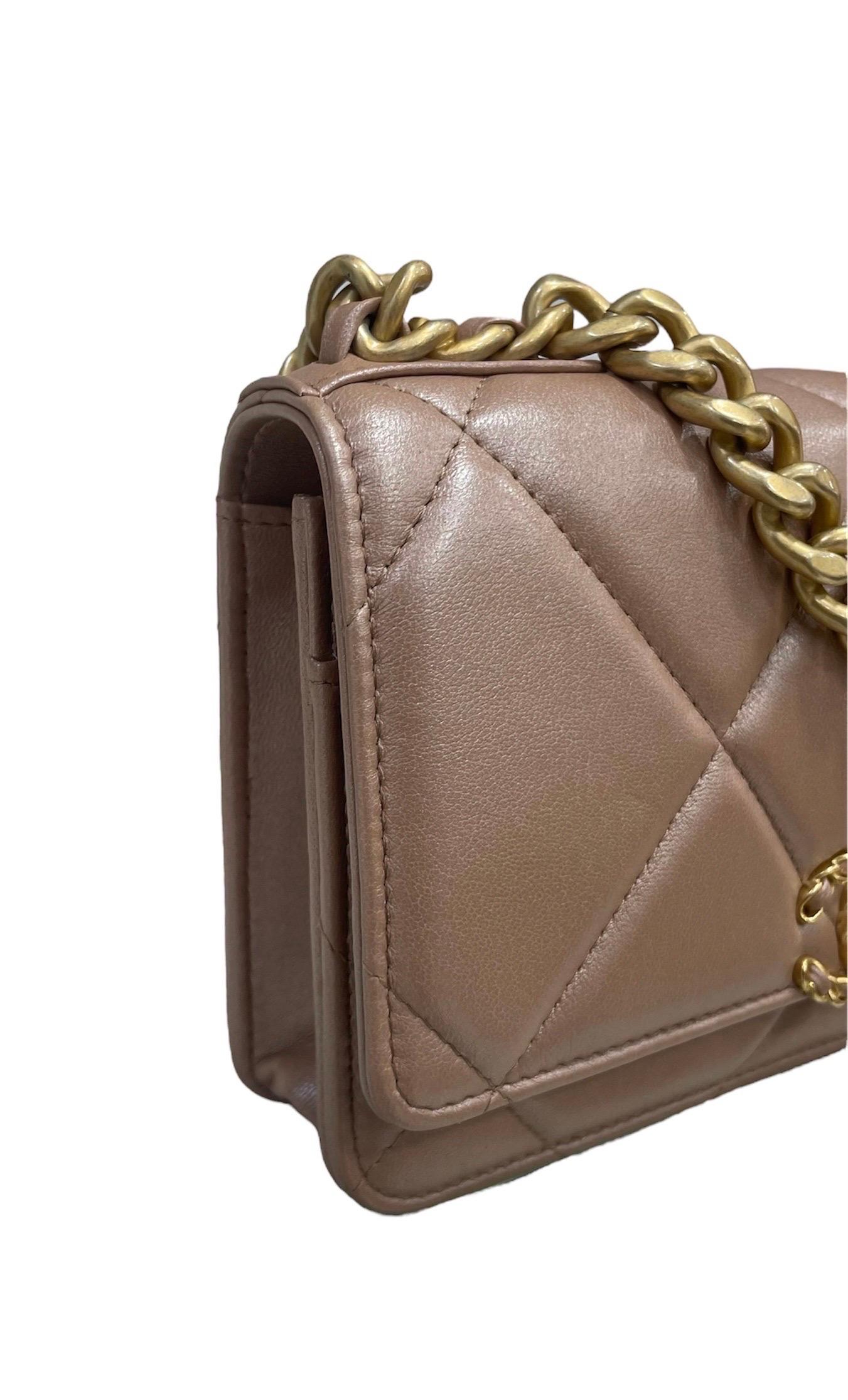 Women's Borsa A Tracolla Chanel 19 Wallet On Chain Cipria