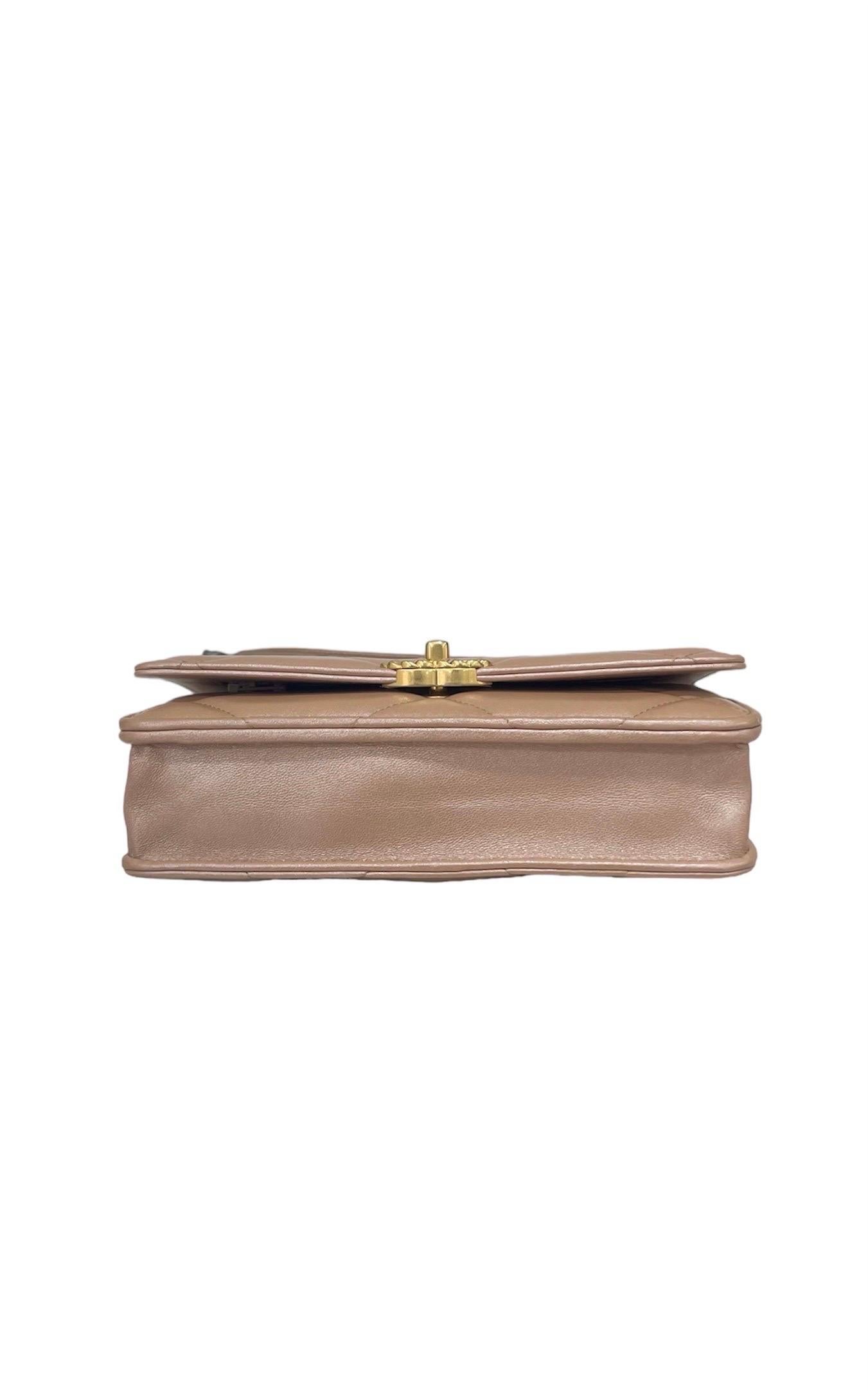 Borsa A Tracolla Chanel 19 Wallet On Chain Cipria 1