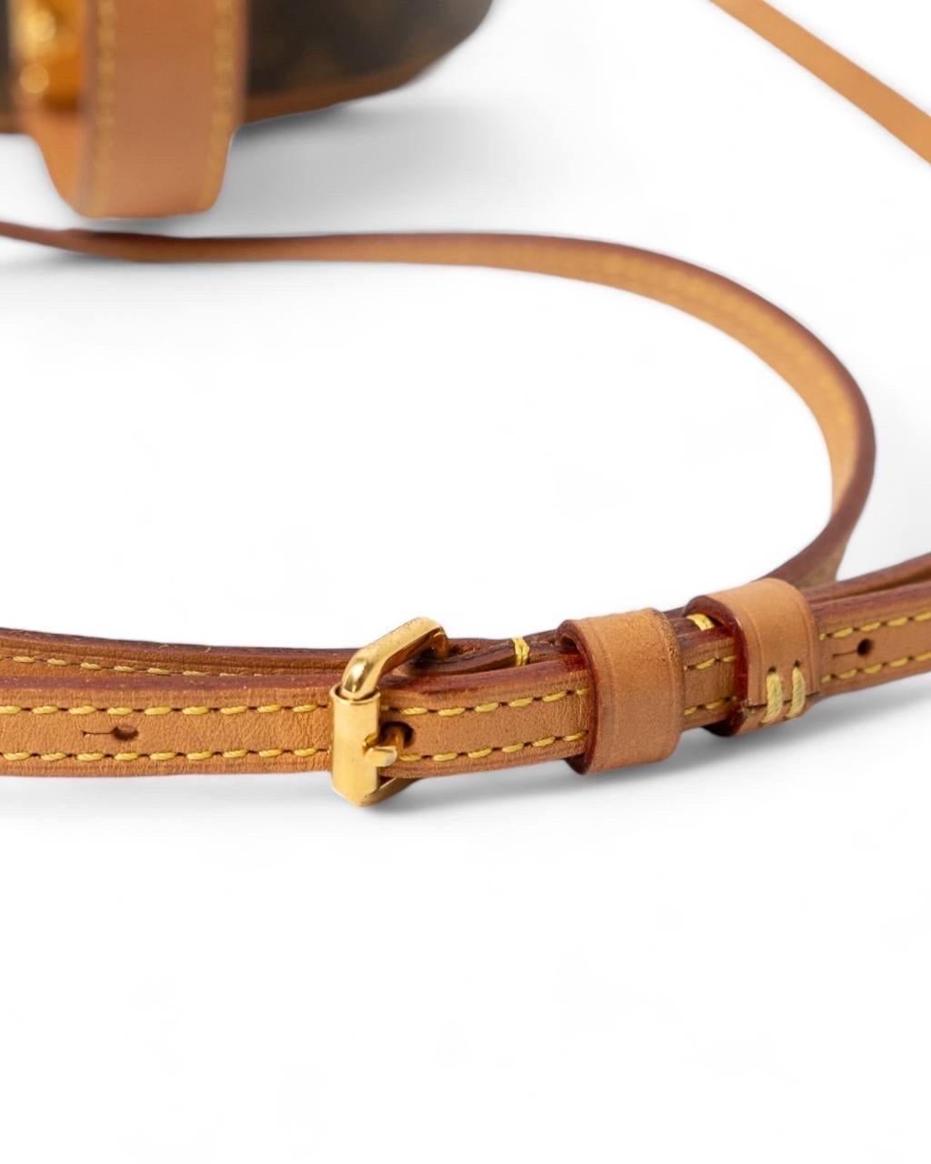 Borsa a Tracolla Louis Vuitton Petit Boite Chapeau Monogram 13