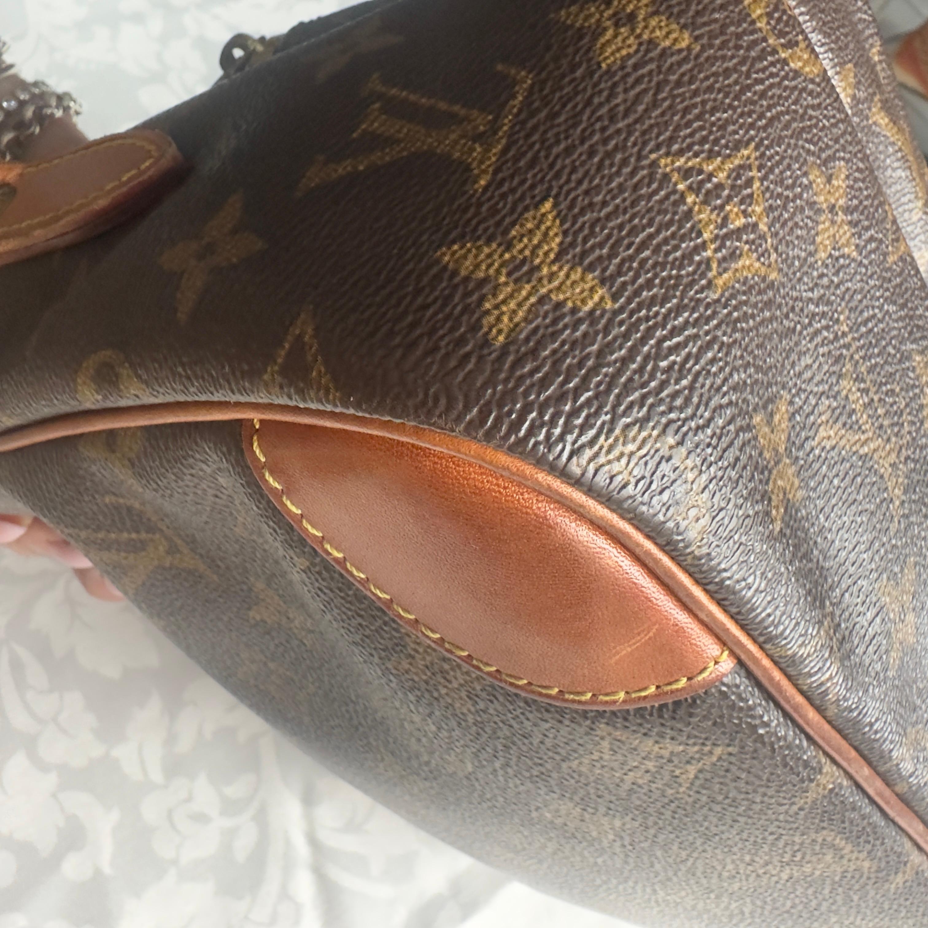 Borsa Louis Vuitton Nile in ottime condizioni 8