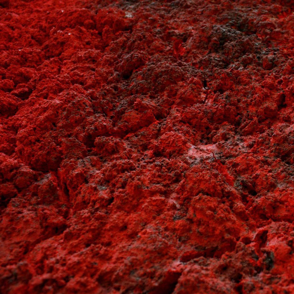 Bosco Sodi Contemporary Mixed-Media on Canvas Red Artwork, 2012 For Sale 3