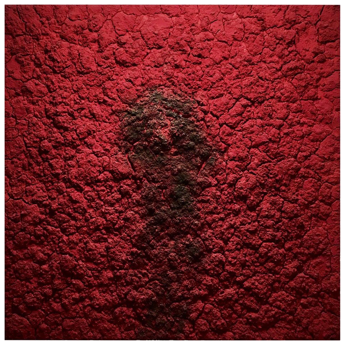 Bosco Sodi Contemporary Mixed-Media on Canvas Red Artwork, 2012