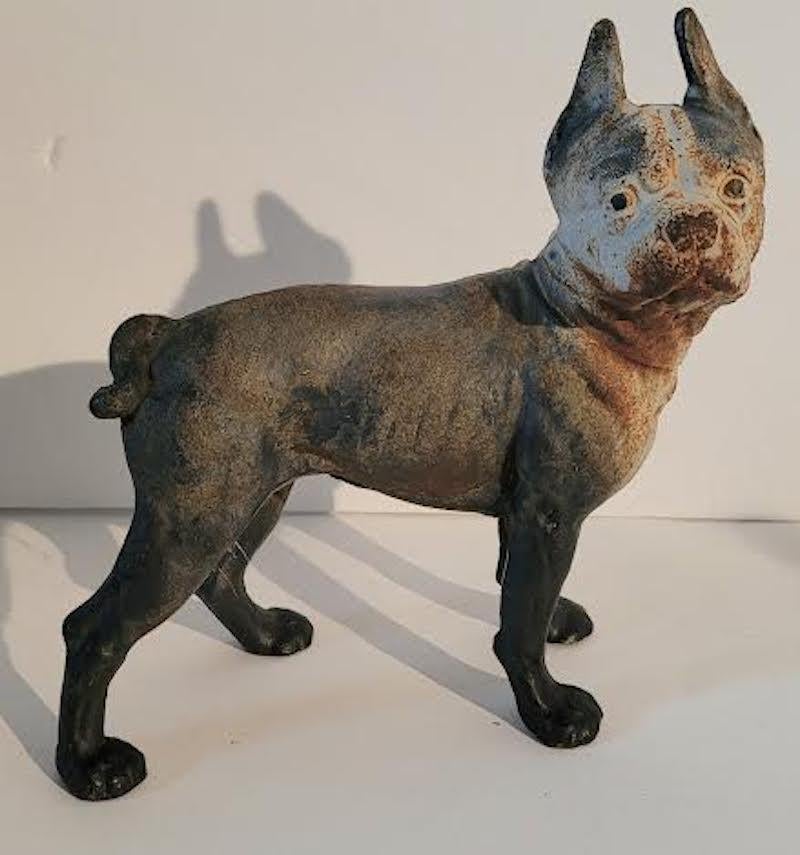 Sweet faced Boston Terrier cast iron doorstop. This doorstop is very heavy with great patina. The Boston Terrier hasa very soft look due to the wear.
