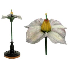 Modello di fiore botanico, Milano Paravia, circa 1900