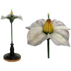 Botanic Flower Model Scientific Specimen, Milan Paravia, circa 1900