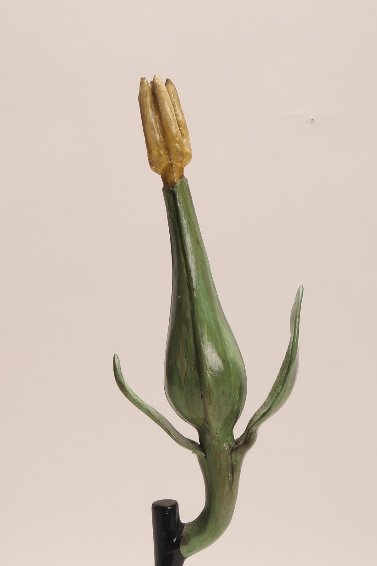 italien Modèle botanique représentant une fleur de Vitis vinifera, Italie 1900. en vente