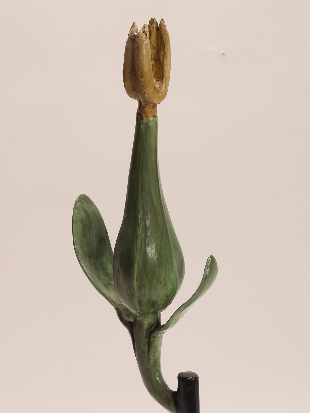 20ième siècle Modèle botanique représentant une fleur de Vitis vinifera, Italie 1900. en vente