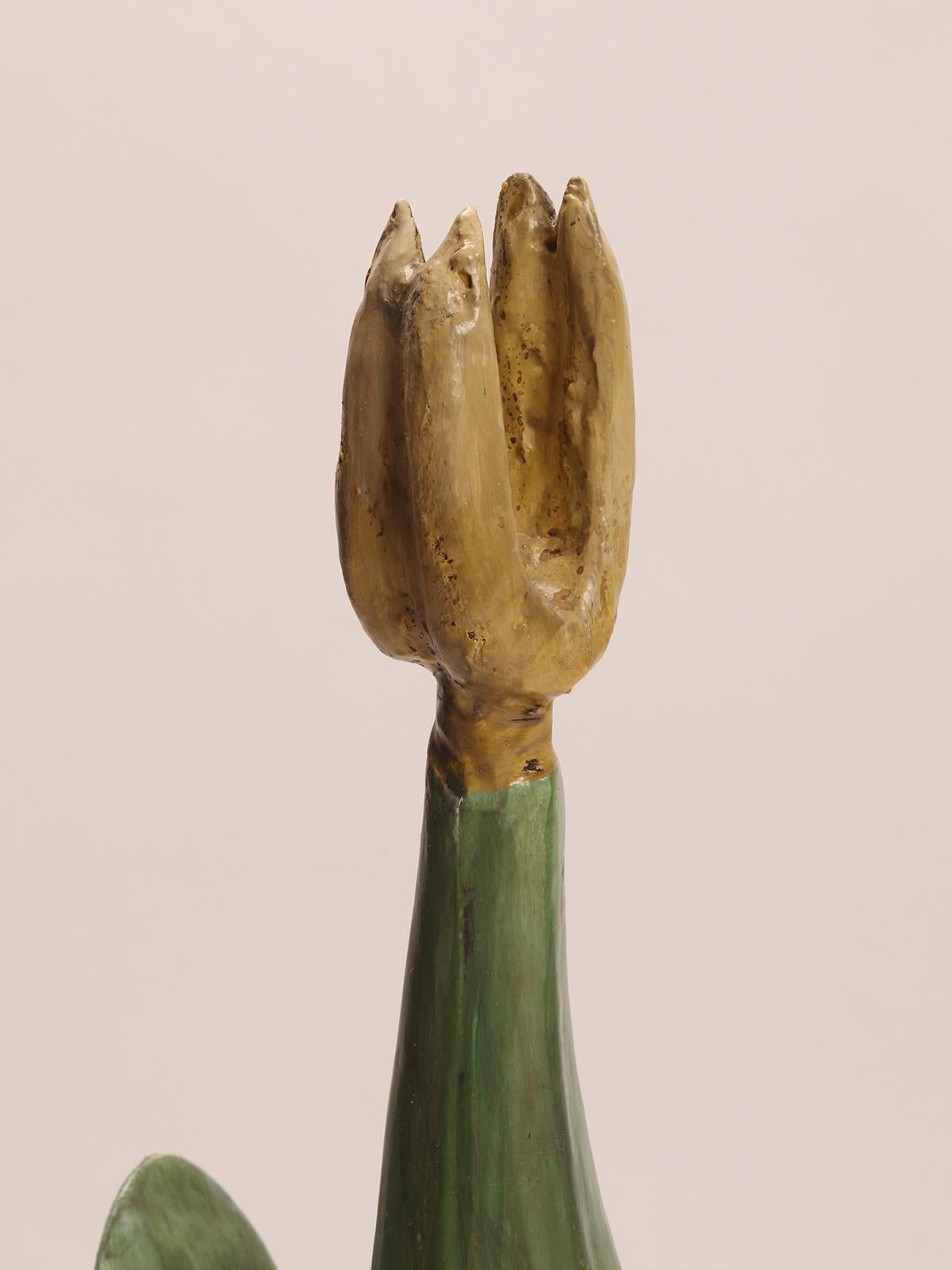 Plâtre Modèle botanique représentant une fleur de Vitis vinifera, Italie 1900. en vente