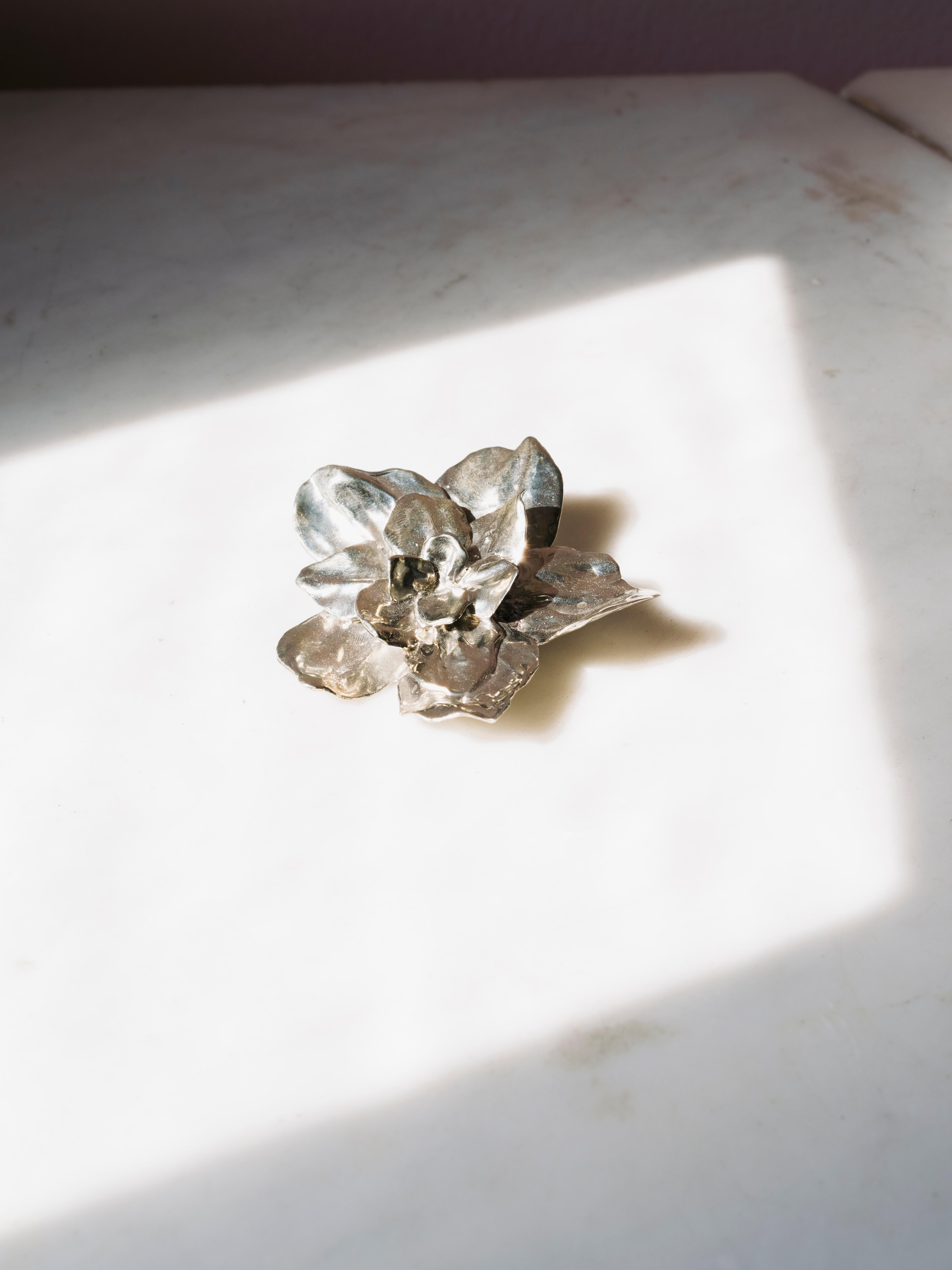 Disponible en laiton jaune ou blanc

Tavia Atelier x Kristina Larson est une ligne de bijoux ART to WEAR indépendante et durable. Cette collection Botanical lancée en 2024 se compose de pièces d'affirmation audacieuses qui sont sculptées à la main